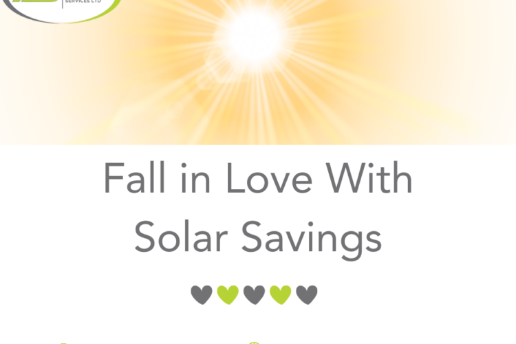 Fall in Love with Solar Savings