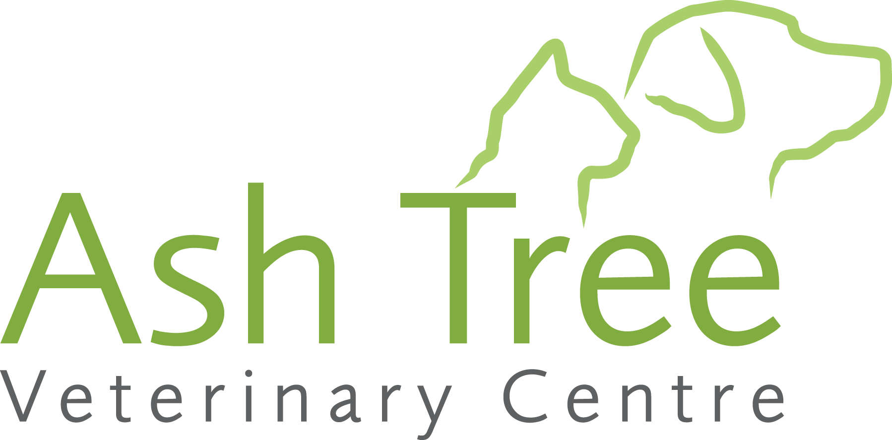 ash-tree-logo-